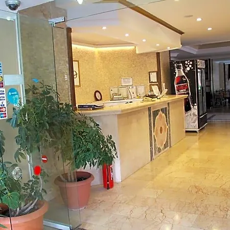 Club Dorado 马尔马里斯