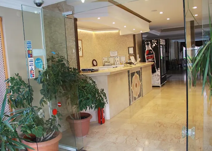 Club Dorado Hotel 3*